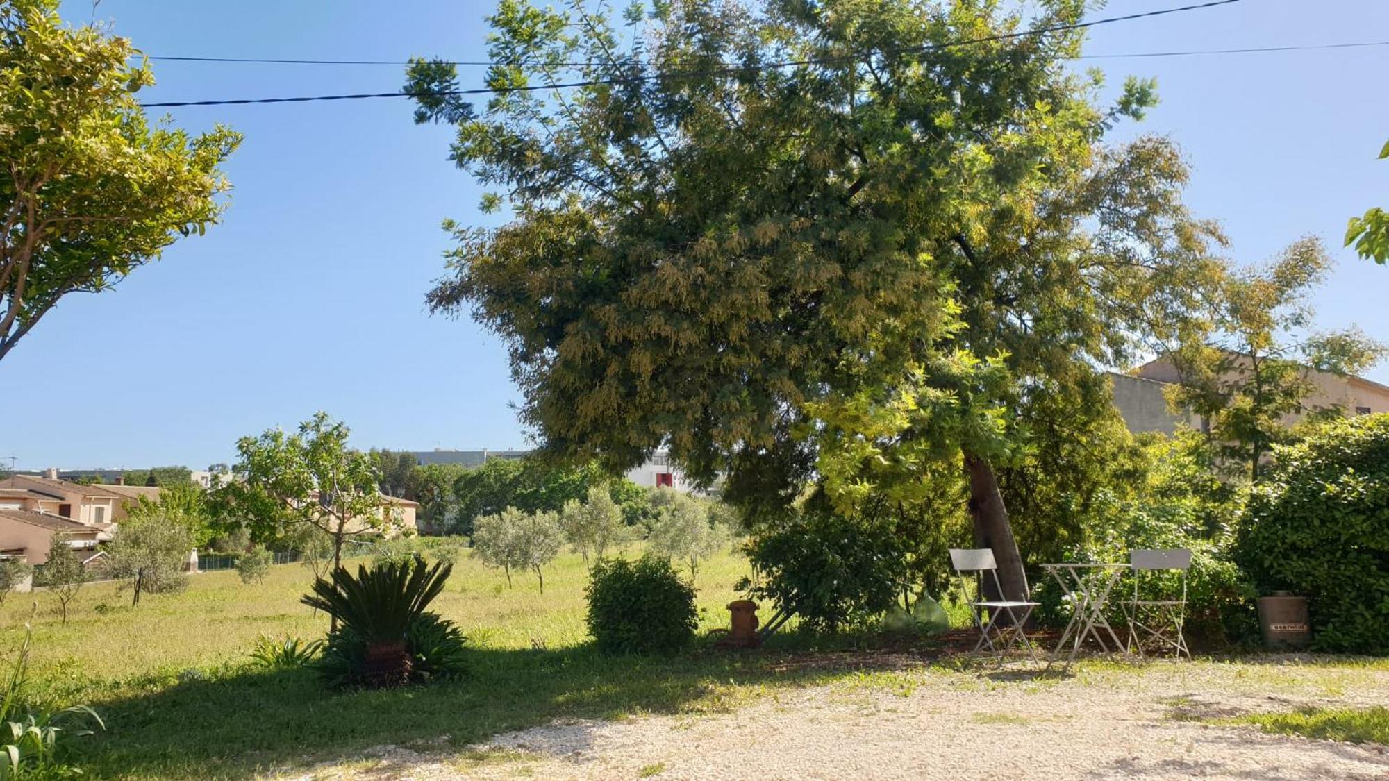 L'Oliveraie Hyères Esterno foto