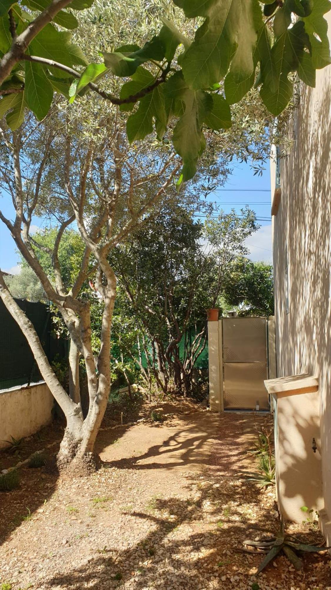 L'Oliveraie Hyères Esterno foto